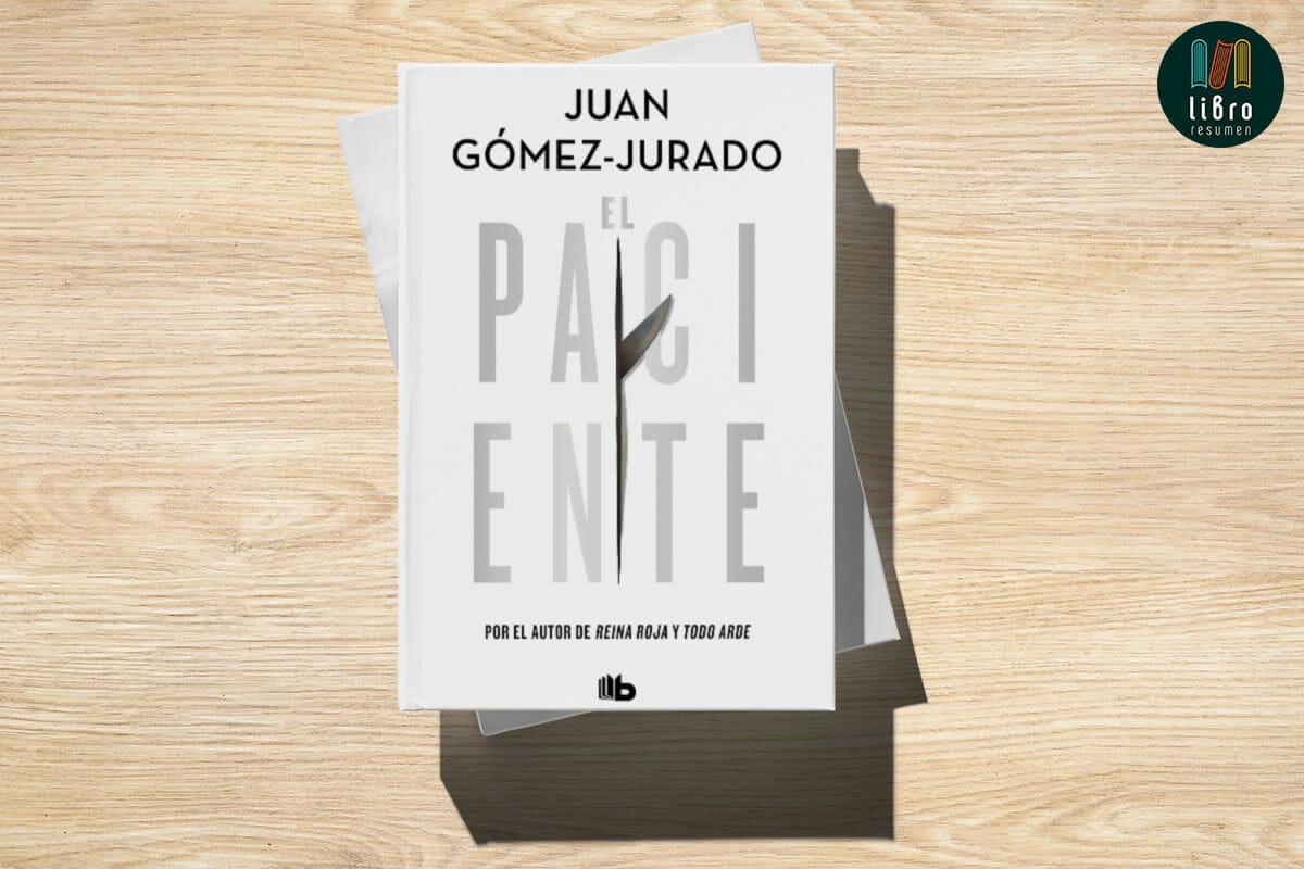 Cicatriz de Juan Gómez-Jurado, Libro Resumen